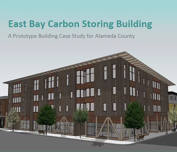 Carbon Storing Building
