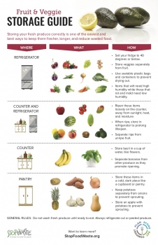Long Term Food Storage  A Guide For your Vegetables. 