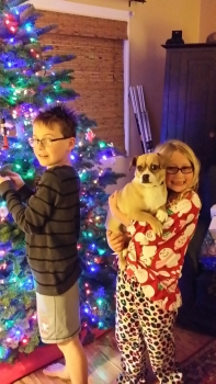 Holiday Tree with Family